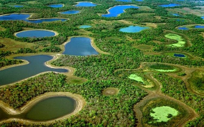 pantanal