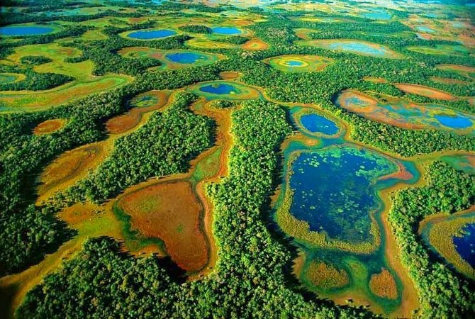 pantanal