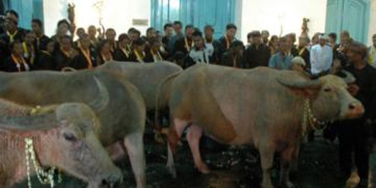bule di keraton surakarta