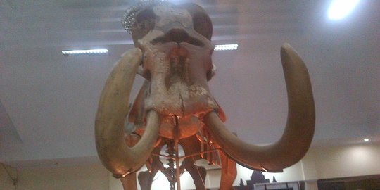 Ada replika gajah purba setinggi 5 meter di Museum Semarang