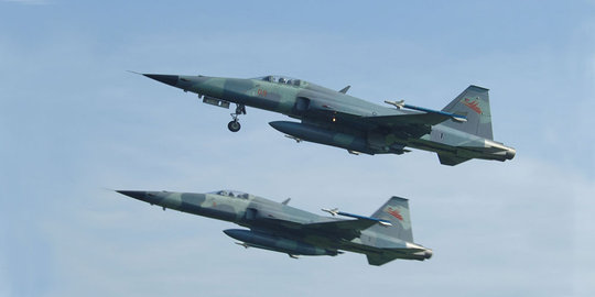 Panglima: TNI turunkan pesawat asing agar kita tak dipermainkan