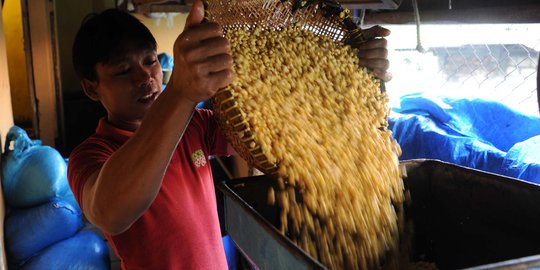 BPS yakin Indonesia bisa lepas dari jerat impor kedelai