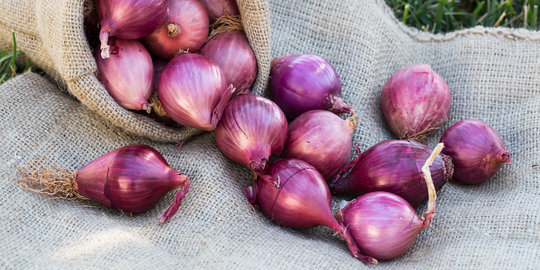 Kulit bawang merah ternyata ampuh turunkan hipertensi!