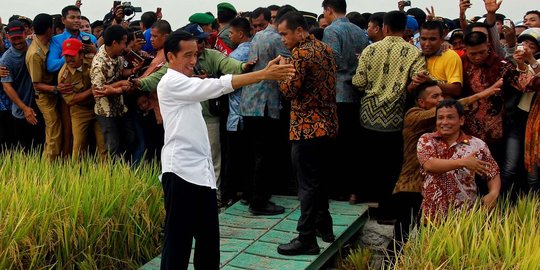 Kementan: 340 ribu hektare sawah di Sulsel rusak