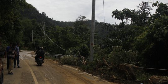 'Illegal logging bukan penyebab utama banjir & longsor di Aceh'