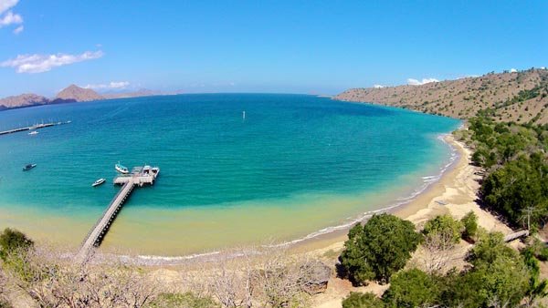 pink beach kecantikan pantai berpasir merah muda di taman nasional komodo