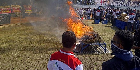 BNN bakar 8 ton ganja di Bandara Soekarno-Hatta