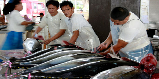 Bertemu dubes Korsel, Menteri Susi perluas pasar ekspor ikan
