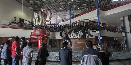 Kerangka dinosaurus berusia 150 juta tahun dipamerkan di Meksiko