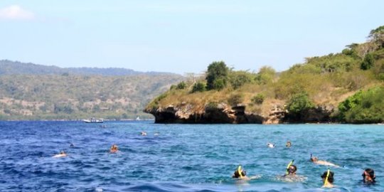 Mengintip lokasi menyelam internasional di Pulau Menjangan