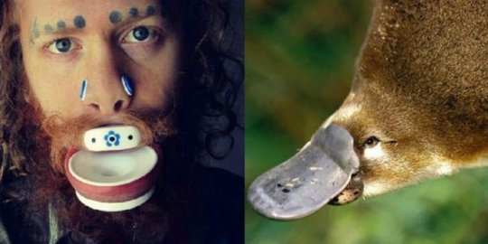 Pemuda penggila tindik ini ubah diri sendiri menjadi platypus