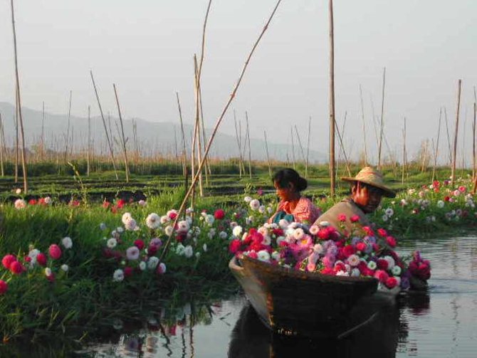 Keunikan kebun-kebun terapung di Danau Inle, Myanmar 