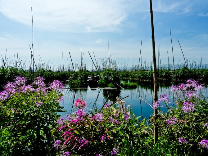 kebun terapung danau inle myanmar