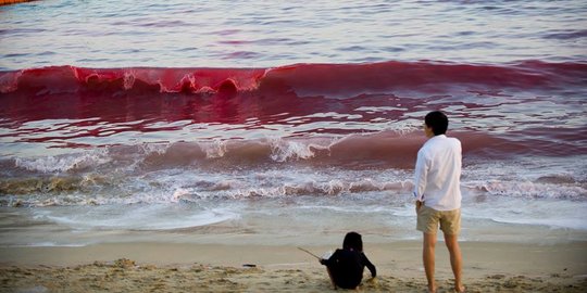 Horor, muncul ombak darah di pantai selatan China 