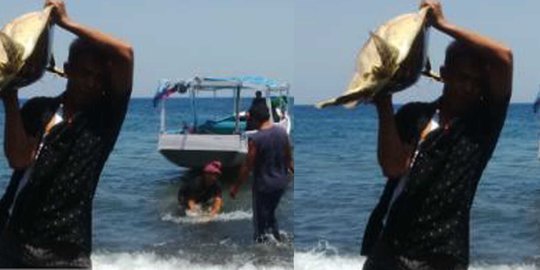 Ironis, 11 bangkai penyu ditemukan terikat di dasar laut
