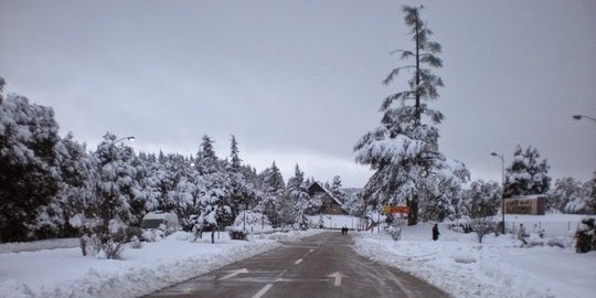 Ifrane, ketika Swiss pindah ke Maroko