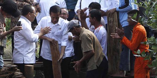 Jokowi tak mau penanaman pohon cuma sekedar acara seremonial