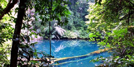 Keindahan Labuan Cermin, danau 'dua rasa' sebiru laut di Kaltim