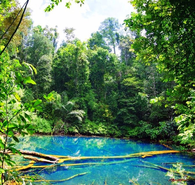 danau labuan cermin kalimantan timur