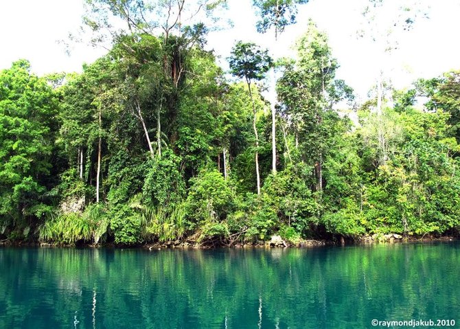 danau labuan cermin kalimantan timur