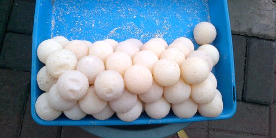 Telur Penyu dijual murah di Mukomuko