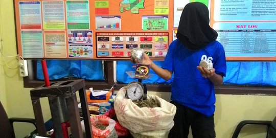 Modus baru, ganja dimasukkan ke kotak ekstrak kulit manggis