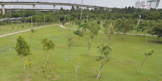 Melihat Taman Hutan Kota yang hijaukan kawasan Pluit