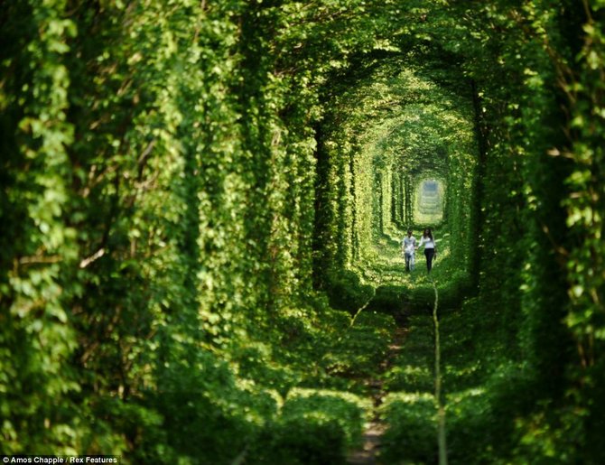 tunnel of love ukraina