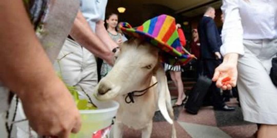 sebab makan bunga rev2