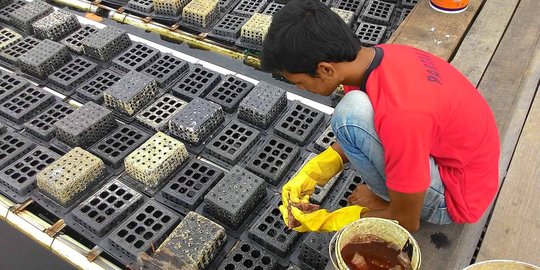 Keresahan petani tambak usai Singapura hentikan impor kepiting