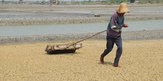 Menteri Susi sindir Kemendag dan Kemenperin soal impor garam