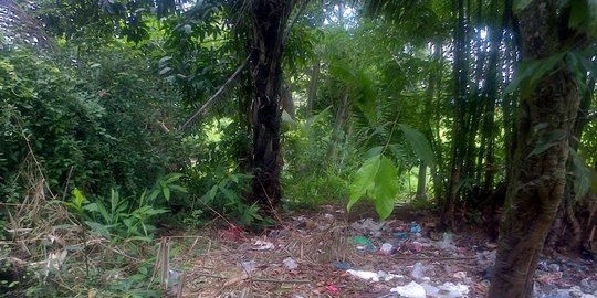 mendut tempat mencari pesugihan dan seks bebas rev2