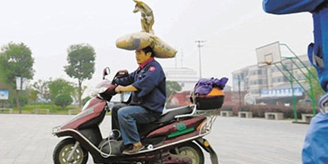 Pria China Angkut Semen Anjing Di Kepalanya Sambil Naik Motor