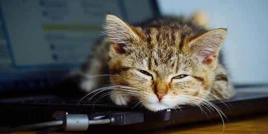 Menumpas mitos fitur 'sleep' di laptop!