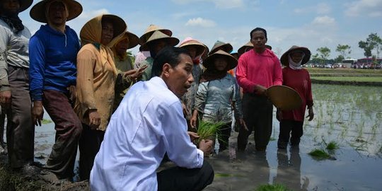 Jokowi siap ambil menteri dari UGM jika menteri pertanian gagal