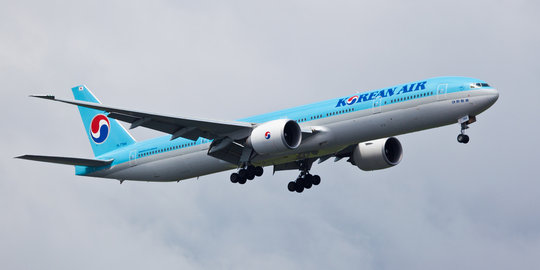Anak bos Korean Air bikin pesawat putar balik gara-gara kacang