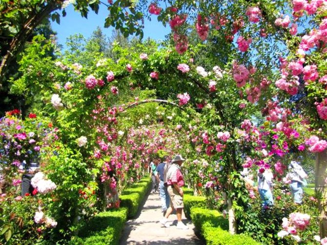 butchart gardens kanada