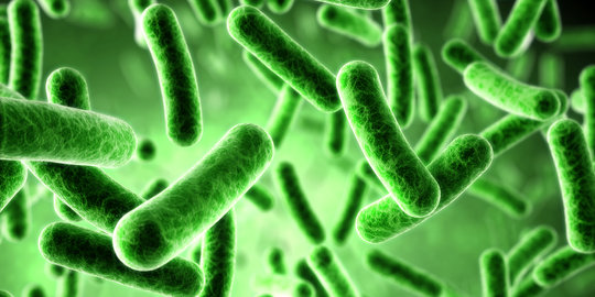 Semua bakteri akan kebal antibiotik di tahun 2050?