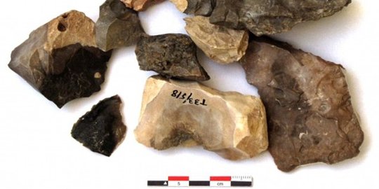 Manusia purba Israel jadi yang pertama kuasai api?