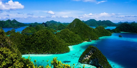 Gelar tur ke Wakatobi-Raja Ampat, kapal Pelni disulap jadi hotel