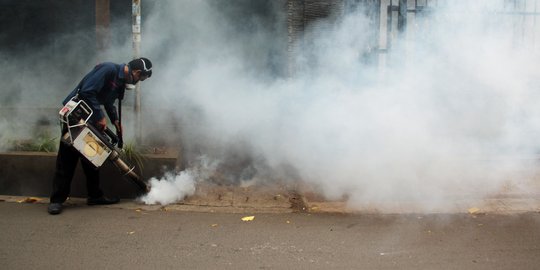 Chikungunya serang warga Kota Kediri, puluhan orang lumpuh