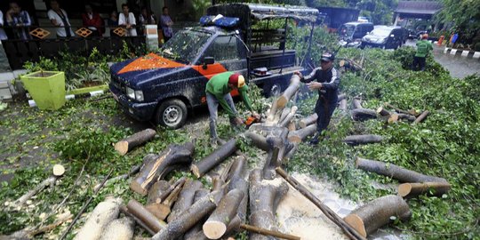 Puting beliung terjang Bandung Timur, pohon bertumbangan