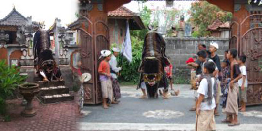 Ngelawang barong, tradisi cari sumbangan usai Galungan di Bali