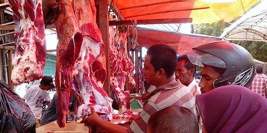 Ahok beberkan isi kerja sama DKI-NTT soal pasokan daging sapi