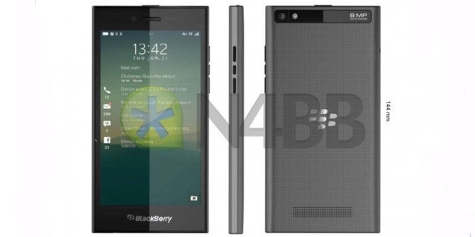 blackberry rio