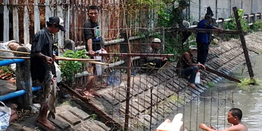 Diduga tercemar limbah, jutaan ikan di Kali Surabaya mati