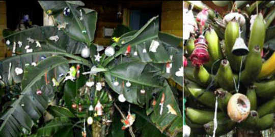 tanpa cemara dan santa, 5 negara ini tampil beda rayakan natal