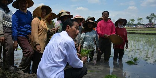 Cerita Jokowi disoraki, lalu bagi-bagi duit ke petani di sawah