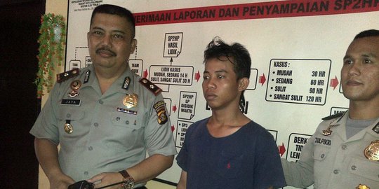 nyopet raja cobet rev3