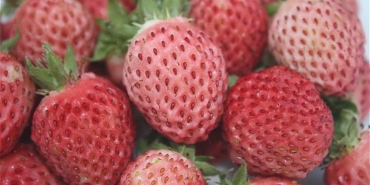 7 buah-buahan unik ini memiliki rasa yang 'menipu'